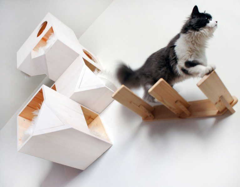 Домик для кошки своими руками (15 способов): чертежи с размерами + мастер-класс по изготовлению домика из картона и футболки